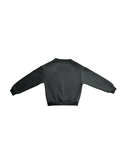 Ambitious Dreamer Crewneck Sweater